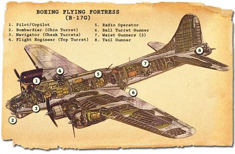 b17 diagram jacket